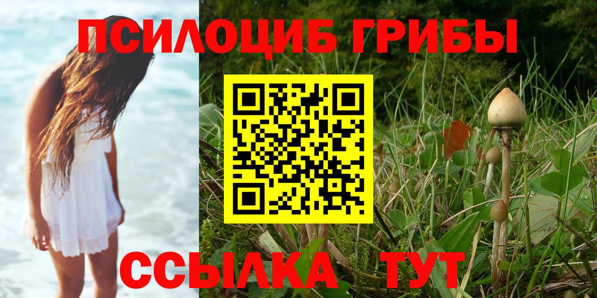 Рыбинск  Галлюциногенные грибы GOLDEN TEACHER  Вход с VPN 