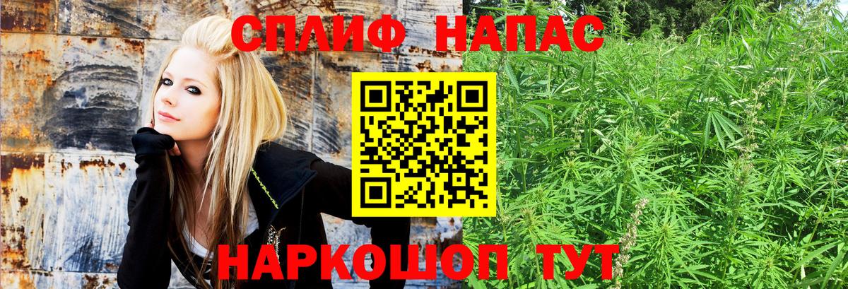 Шишки марихуана конопля Рыбинск